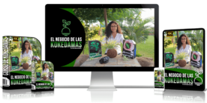 El Negocio de Las Kokedamas